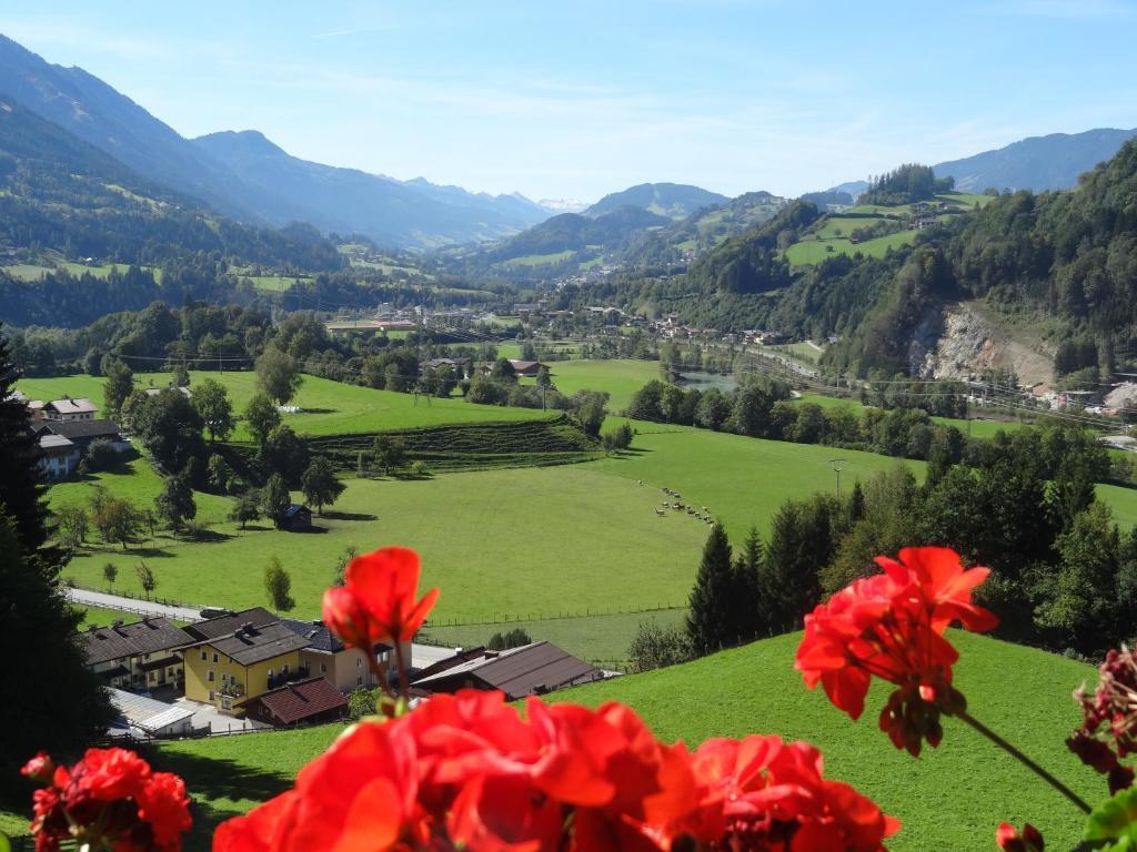 Pension Appartements Reithof Sankt Johann im Pongau Oda fotoğraf