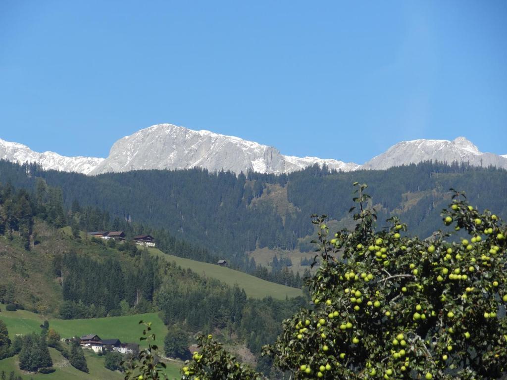 Pension Appartements Reithof Sankt Johann im Pongau Oda fotoğraf